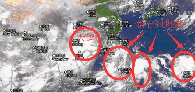 台风鸽子最新资讯深度解析