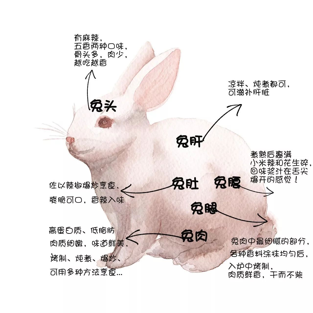 最新最全秃子配件指南