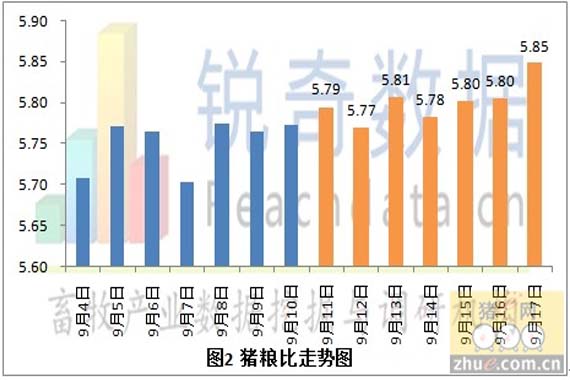 最新日上价格动态及其影响