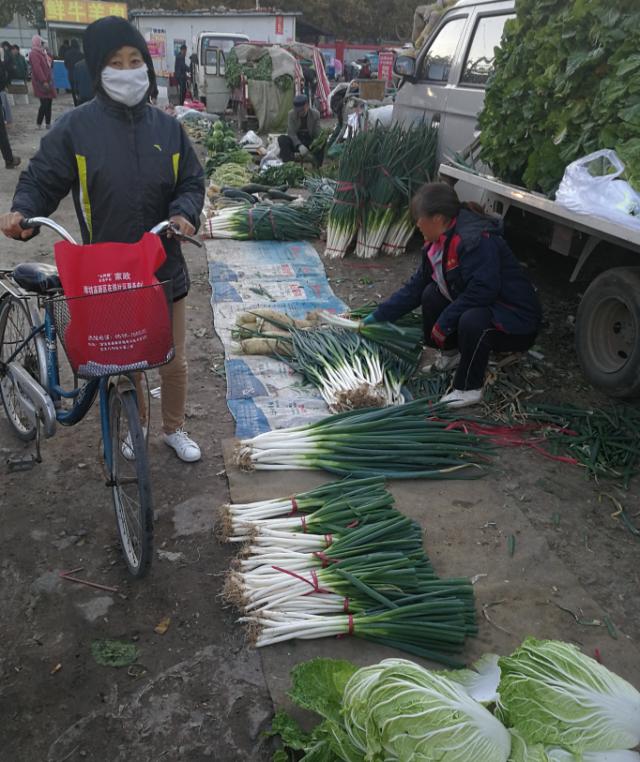 安丘白菜最新价格动态分析