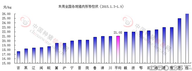 2015年猪价格最新预测及分析