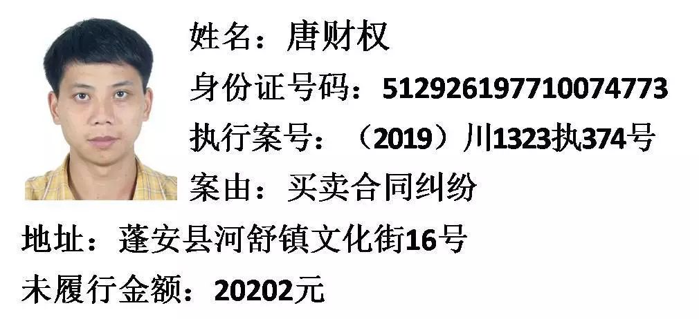 周宁最新老赖名单曝光，揭示失信背后的社会警钟